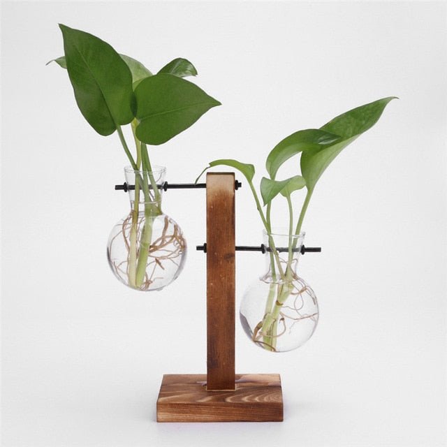 glass planter pot Glass and Wood Vase Planter Terrarium Table Desktop Hydroponics Plant